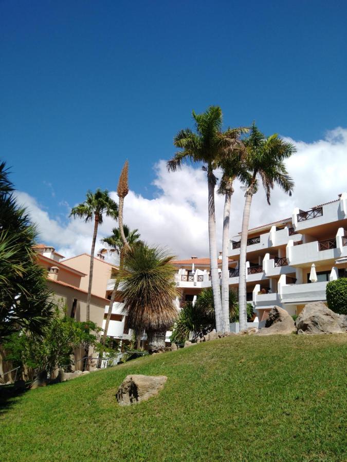 Forest Flat - Big Heated Pool, Terrace, Tv Channels, Golf Courses San Miguel de Abona Eksteriør bilde