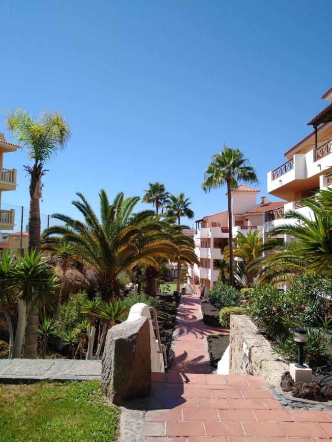 Forest Flat - Big Heated Pool, Terrace, Tv Channels, Golf Courses San Miguel de Abona Eksteriør bilde