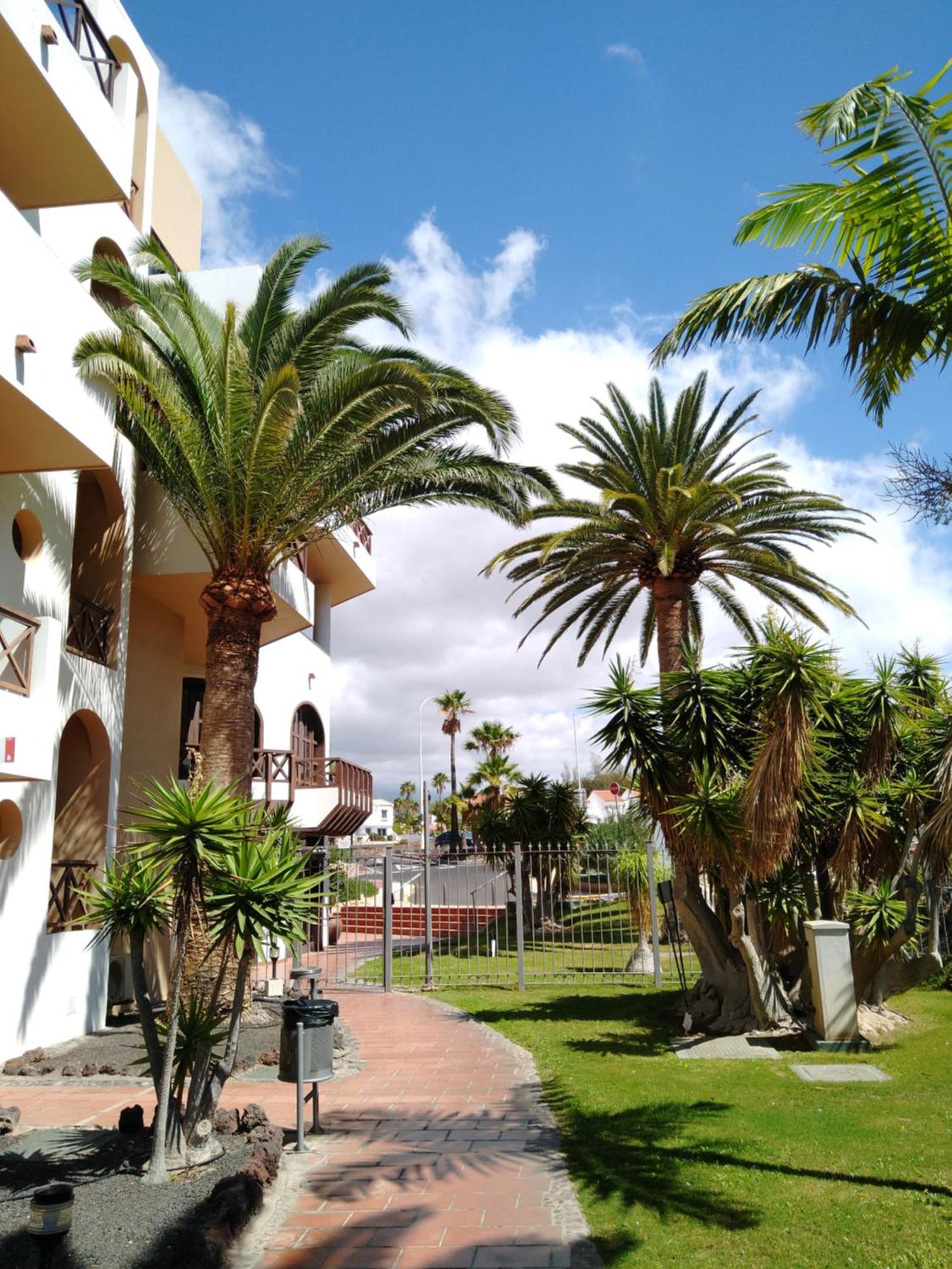 Forest Flat - Big Heated Pool, Terrace, Tv Channels, Golf Courses San Miguel de Abona Eksteriør bilde